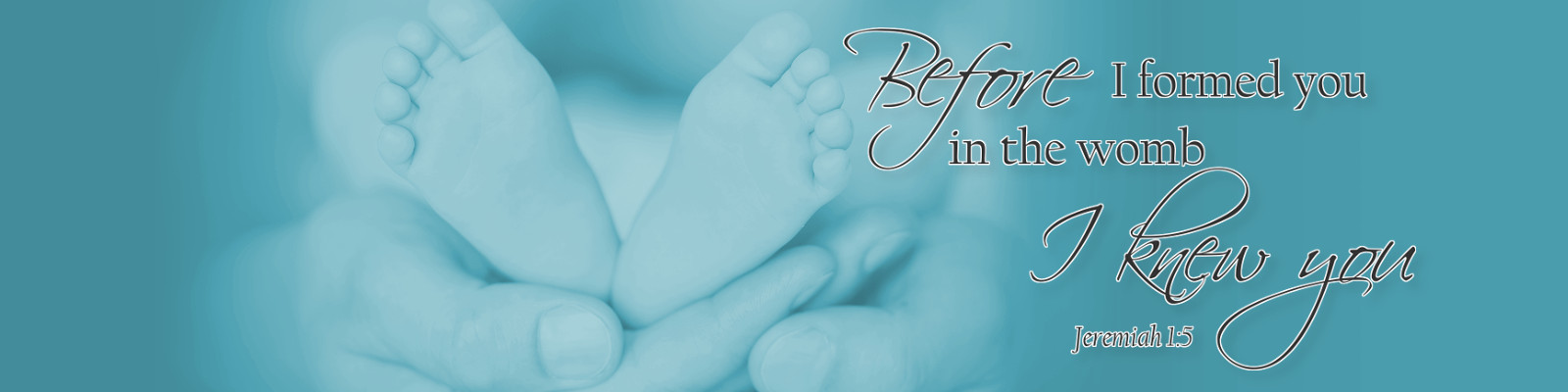 Before I formed you in the womb, I knew You. Iowa Pro-Life Action